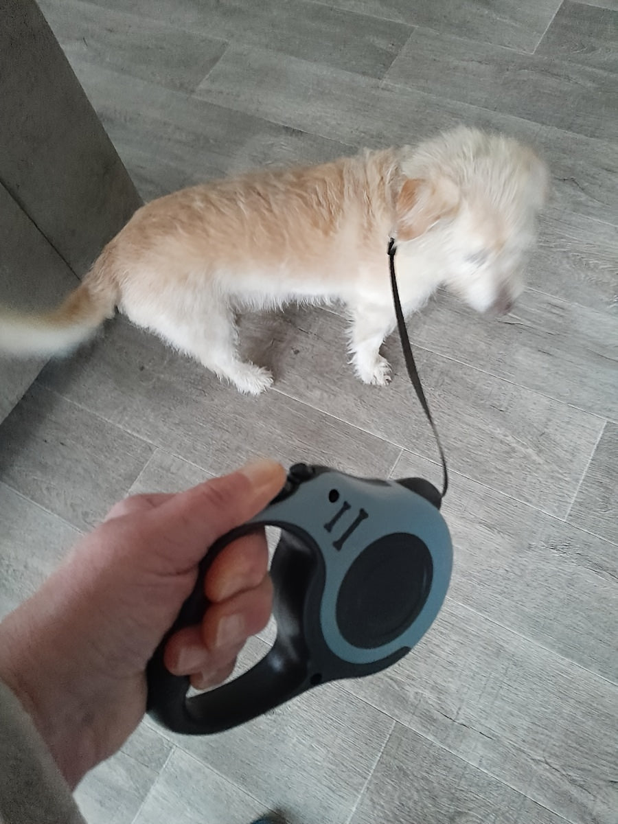 One Double Switch Pet Retractable Leash Colorful Bone Pattern Dog Nylon Rope